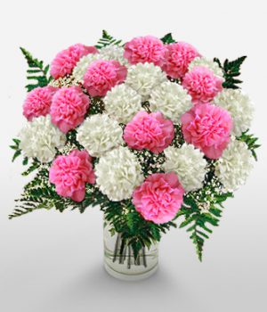 10 White Carnation, 10 Pink Carnation with Vase