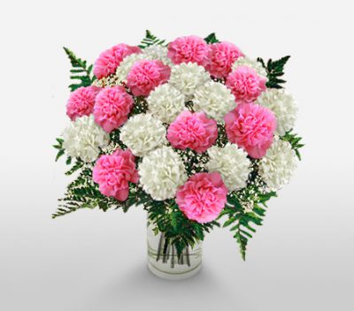 10 White Carnation, 10 Pink Carnation with Vase