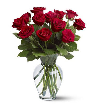 In Love with 12 Red Roses