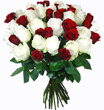 15 Red Roses, 15 White Roses