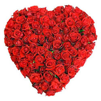 100 Red Roses as Heartshape